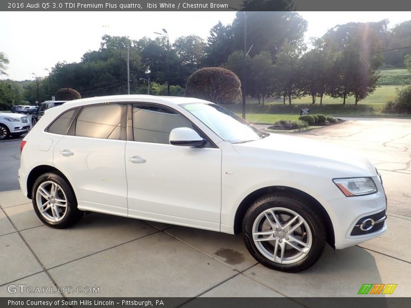 Ibis White / Chestnut Brown 2016 Audi Q5 3.0 TDI Premium Plus quattro