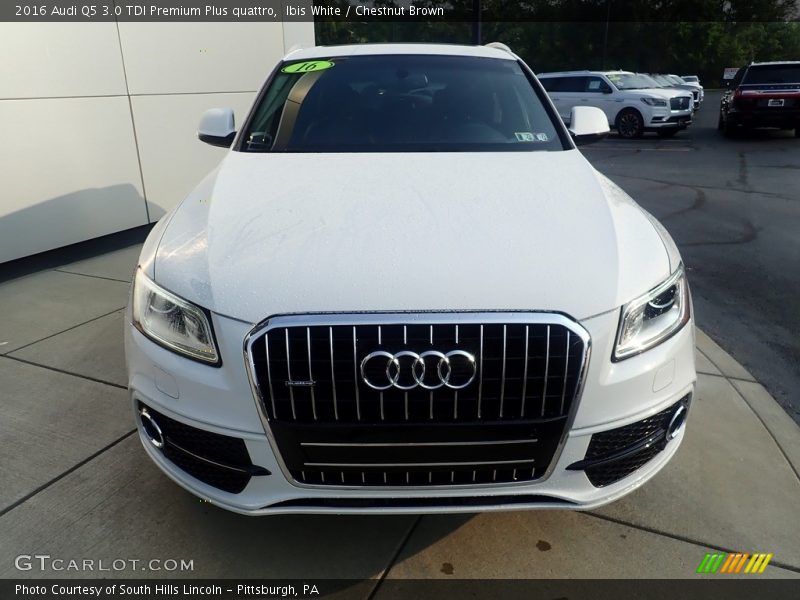 Ibis White / Chestnut Brown 2016 Audi Q5 3.0 TDI Premium Plus quattro