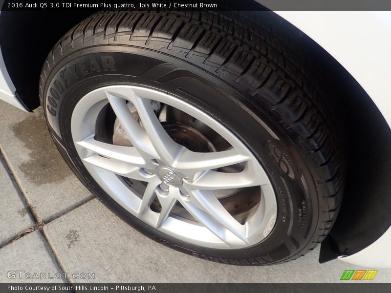 Ibis White / Chestnut Brown 2016 Audi Q5 3.0 TDI Premium Plus quattro