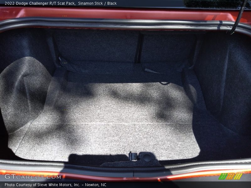 Sinamon Stick / Black 2022 Dodge Challenger R/T Scat Pack