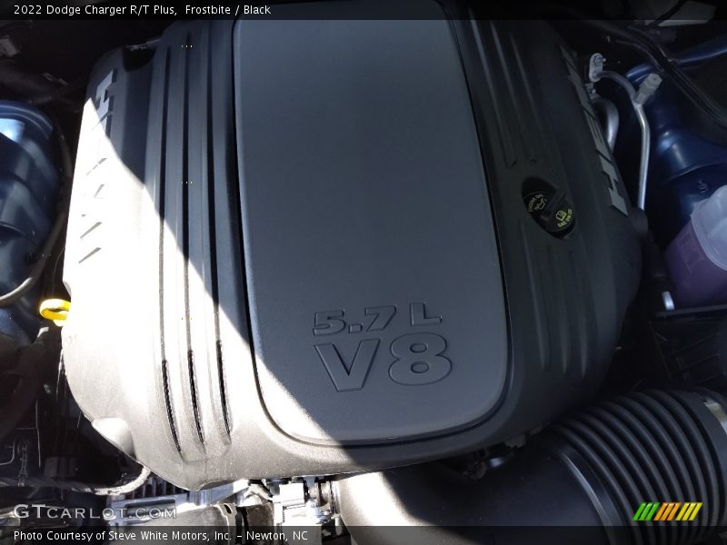 Frostbite / Black 2022 Dodge Charger R/T Plus
