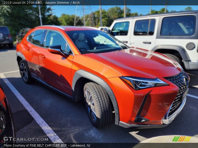 Autumn Shimmer / Birch 2019 Lexus UX 250h AWD