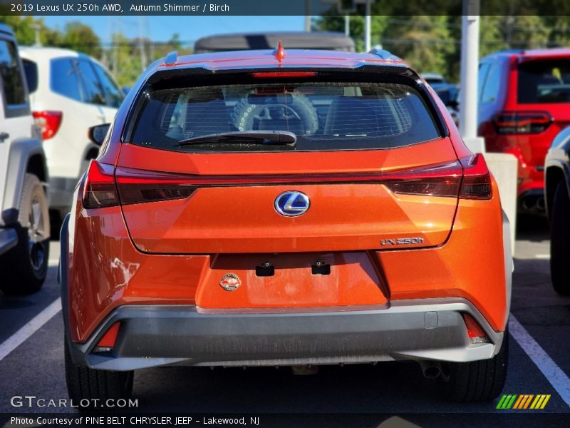 Autumn Shimmer / Birch 2019 Lexus UX 250h AWD