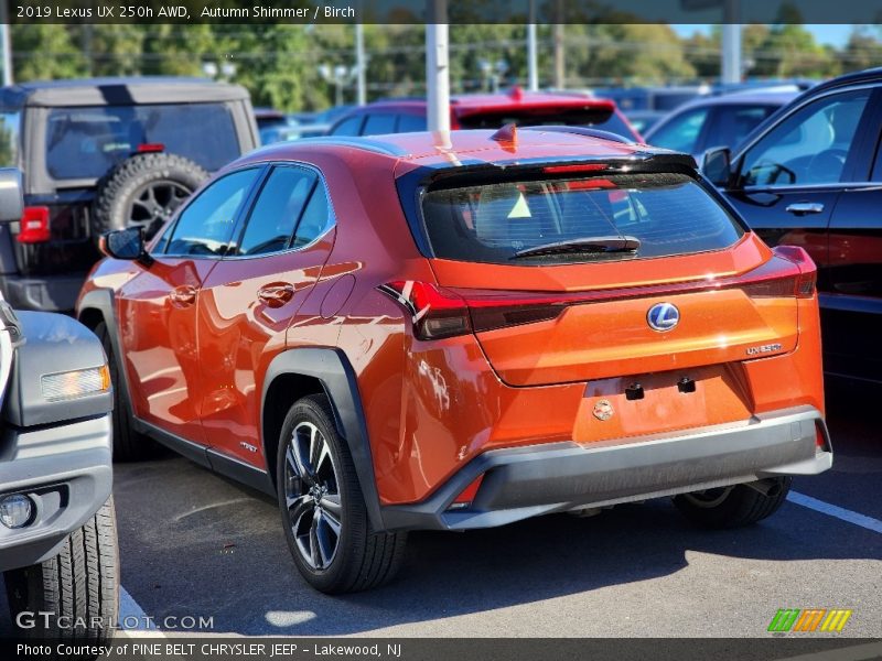 Autumn Shimmer / Birch 2019 Lexus UX 250h AWD