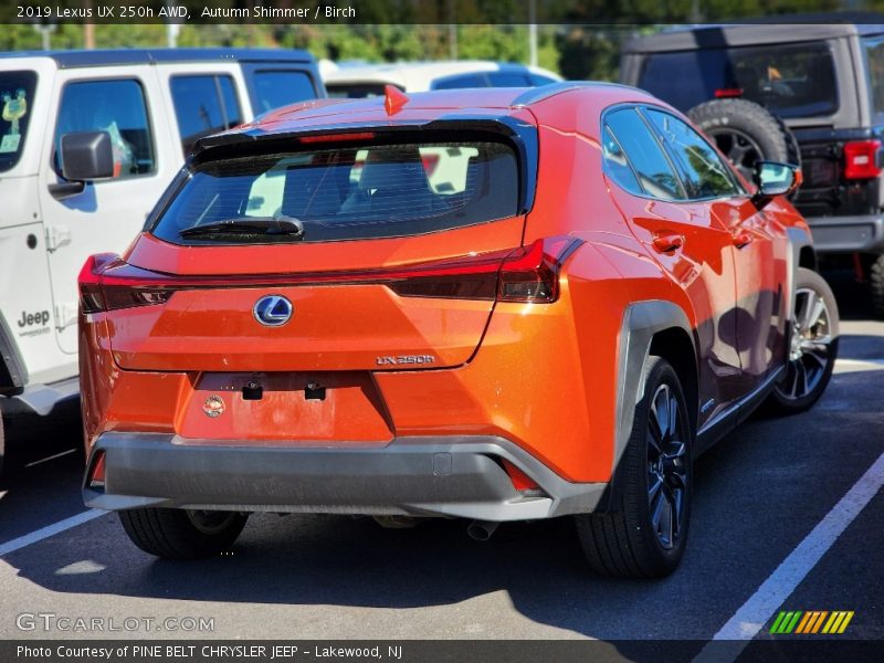 Autumn Shimmer / Birch 2019 Lexus UX 250h AWD