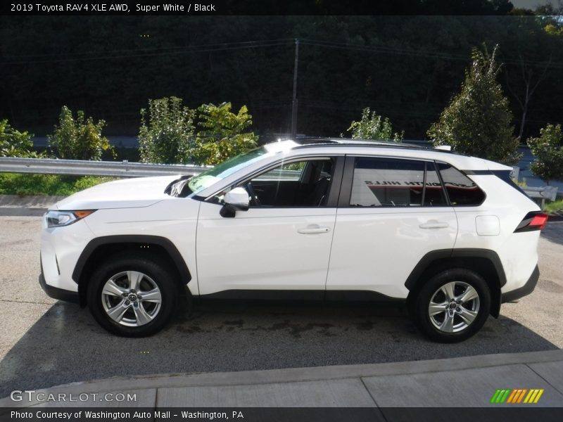 Super White / Black 2019 Toyota RAV4 XLE AWD
