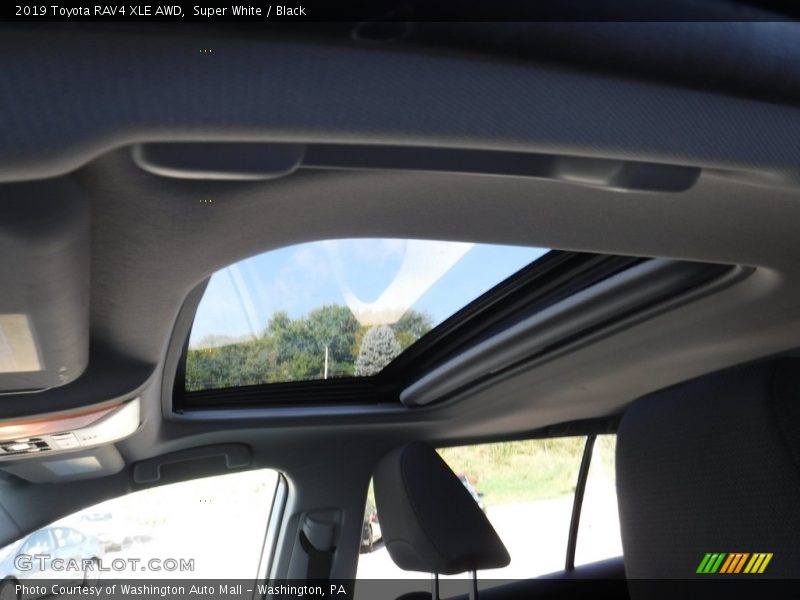 Super White / Black 2019 Toyota RAV4 XLE AWD