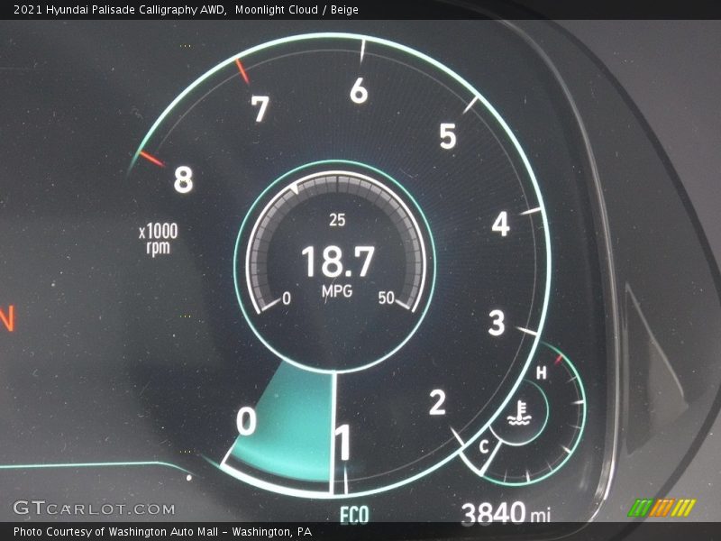  2021 Palisade Calligraphy AWD Calligraphy AWD Gauges