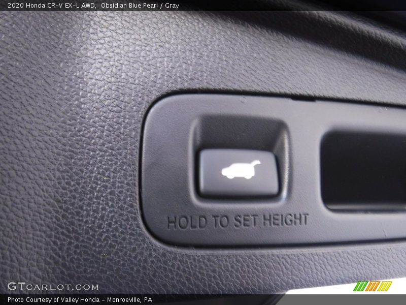 Obsidian Blue Pearl / Gray 2020 Honda CR-V EX-L AWD