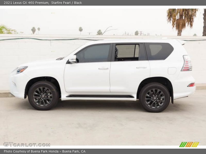 Starfire Pearl / Black 2021 Lexus GX 460 Premium