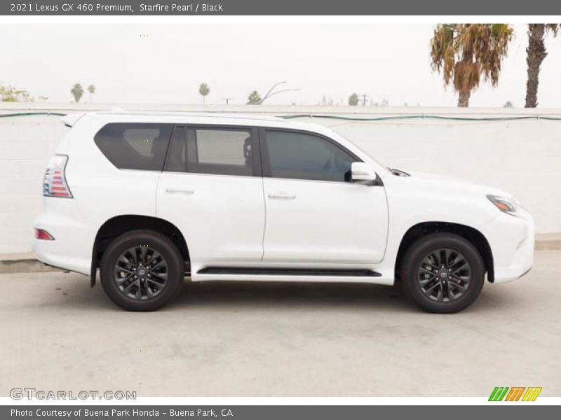 Starfire Pearl / Black 2021 Lexus GX 460 Premium
