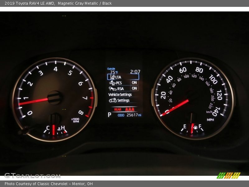 Magnetic Gray Metallic / Black 2019 Toyota RAV4 LE AWD