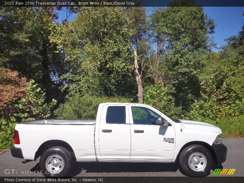  2022 1500 Tradesman Quad Cab Bright White