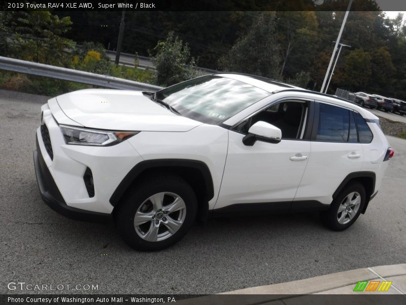 Super White / Black 2019 Toyota RAV4 XLE AWD