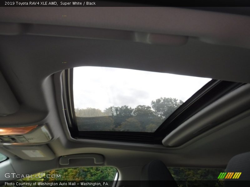 Super White / Black 2019 Toyota RAV4 XLE AWD