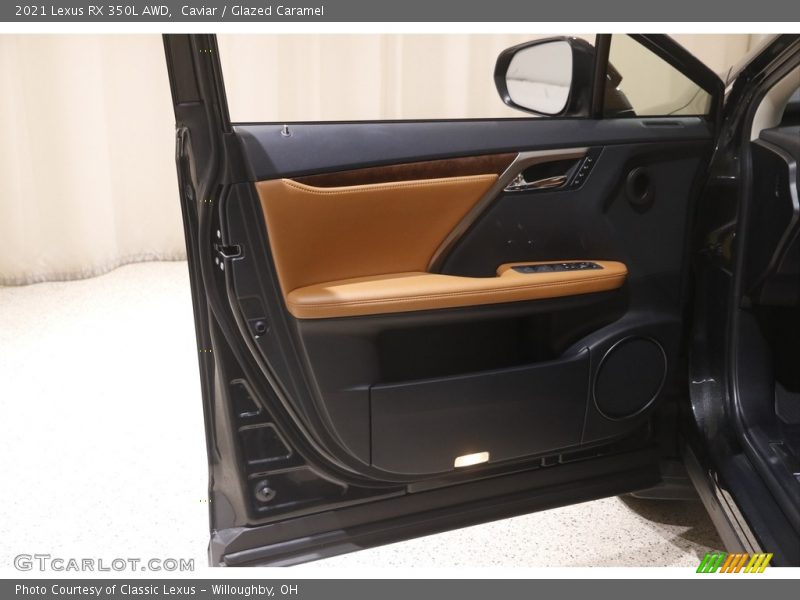 Door Panel of 2021 RX 350L AWD