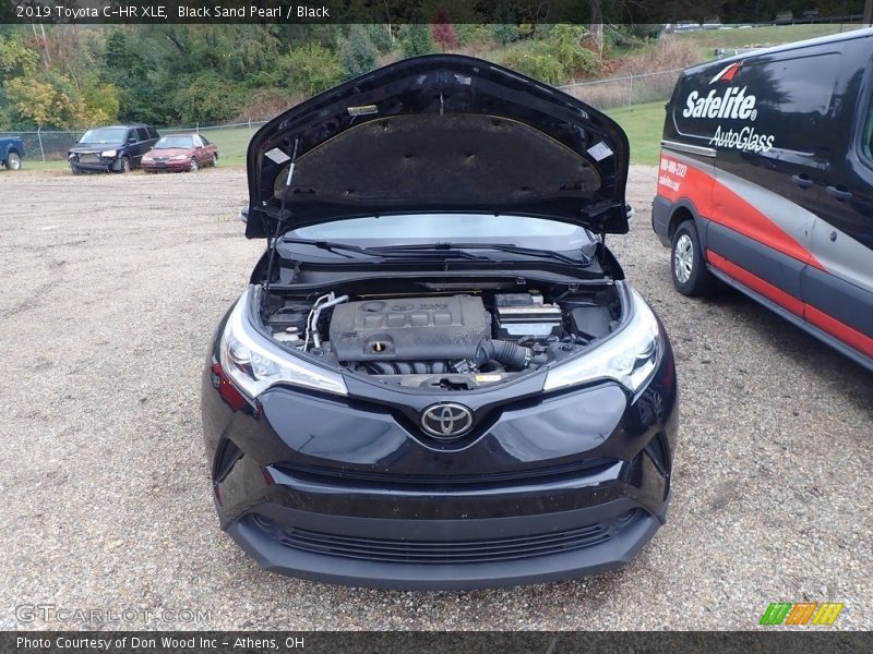 Black Sand Pearl / Black 2019 Toyota C-HR XLE