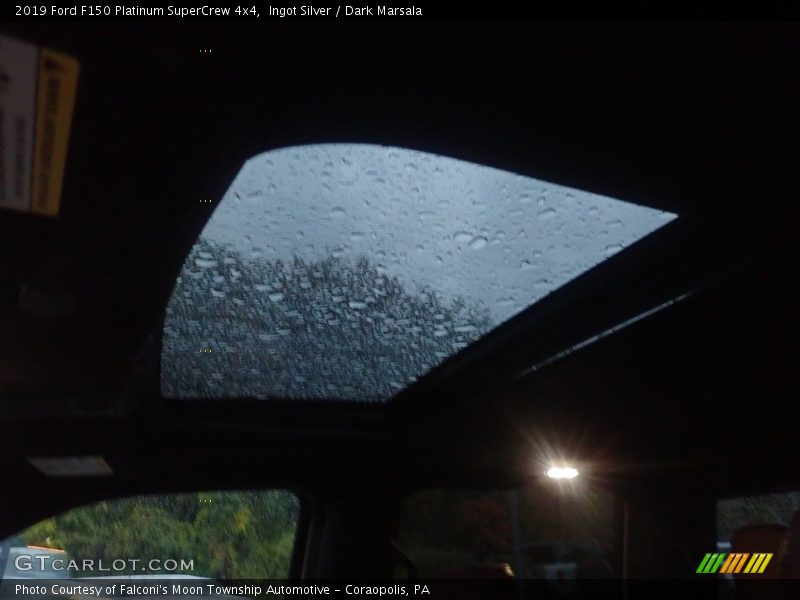 Ingot Silver / Dark Marsala 2019 Ford F150 Platinum SuperCrew 4x4