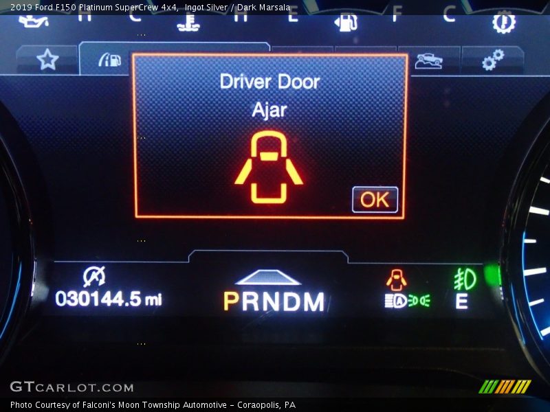 Ingot Silver / Dark Marsala 2019 Ford F150 Platinum SuperCrew 4x4