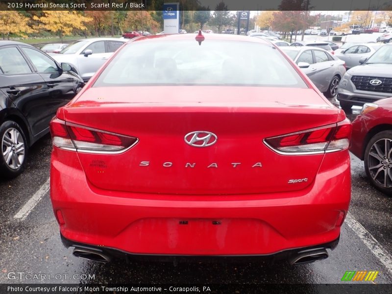 Scarlet Red / Black 2019 Hyundai Sonata Sport
