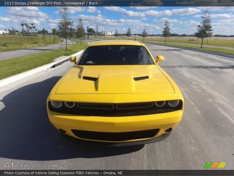 YellowJacket / Black 2017 Dodge Challenger SXT Plus