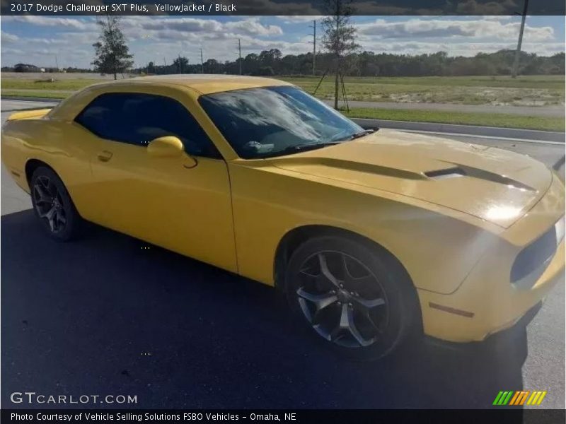 YellowJacket / Black 2017 Dodge Challenger SXT Plus