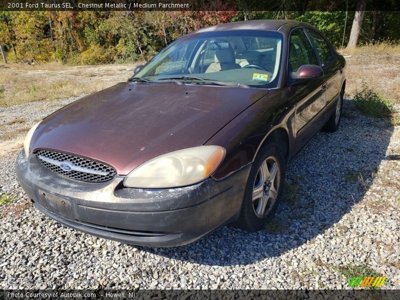 Chestnut Metallic / Medium Parchment 2001 Ford Taurus SEL