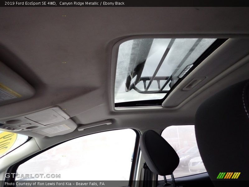 Canyon Ridge Metallic / Ebony Black 2019 Ford EcoSport SE 4WD
