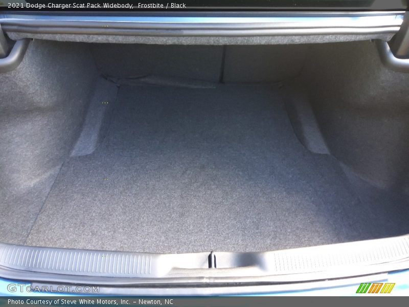 Frostbite / Black 2021 Dodge Charger Scat Pack Widebody
