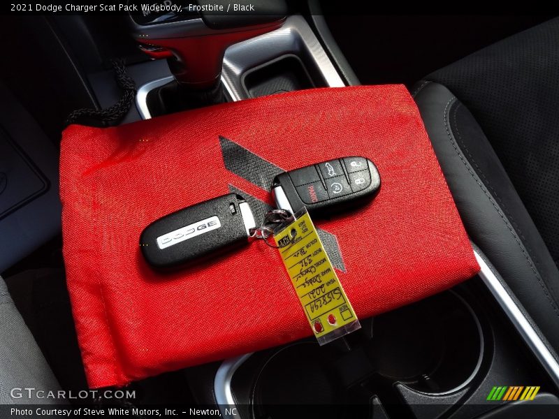 Frostbite / Black 2021 Dodge Charger Scat Pack Widebody
