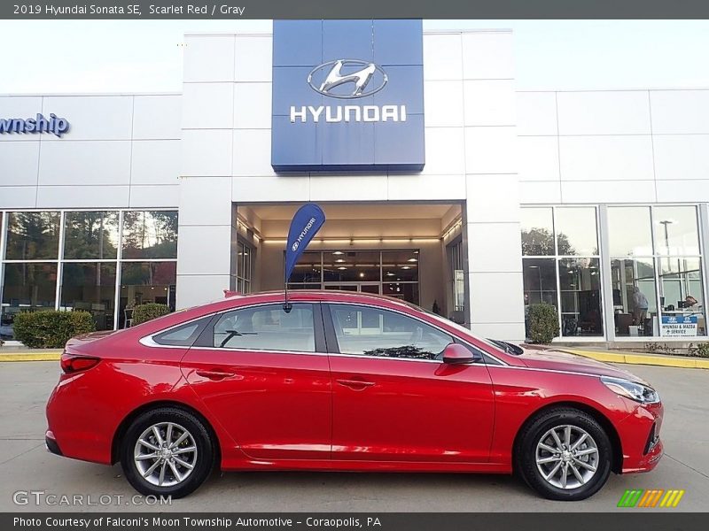 Scarlet Red / Gray 2019 Hyundai Sonata SE