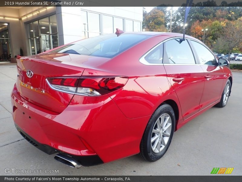 Scarlet Red / Gray 2019 Hyundai Sonata SE