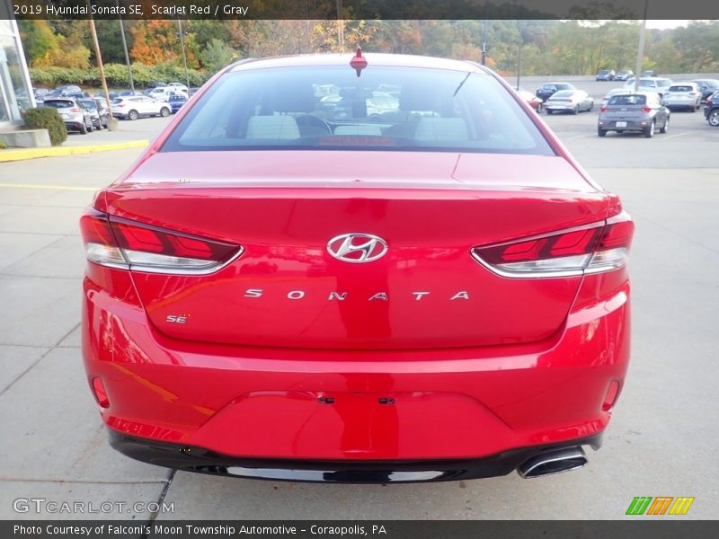 Scarlet Red / Gray 2019 Hyundai Sonata SE