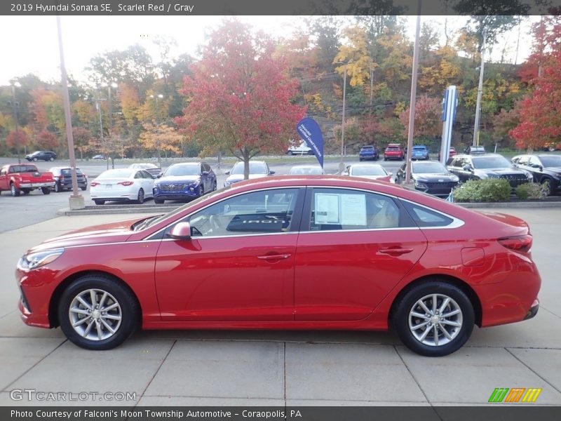 Scarlet Red / Gray 2019 Hyundai Sonata SE