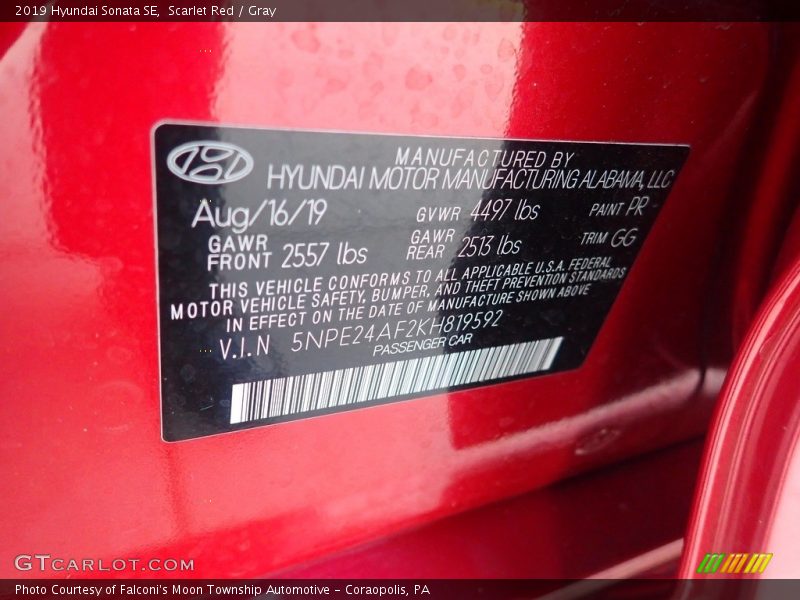 Scarlet Red / Gray 2019 Hyundai Sonata SE