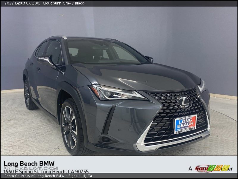 Cloudburst Gray / Black 2022 Lexus UX 200