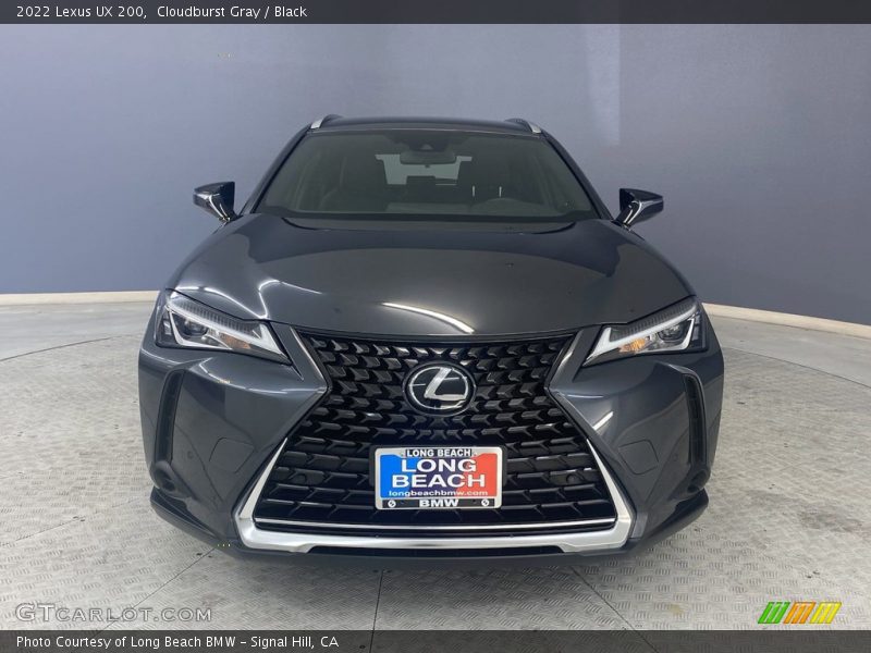 Cloudburst Gray / Black 2022 Lexus UX 200