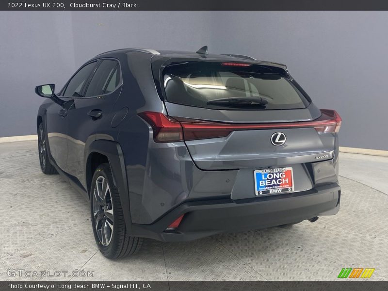 Cloudburst Gray / Black 2022 Lexus UX 200