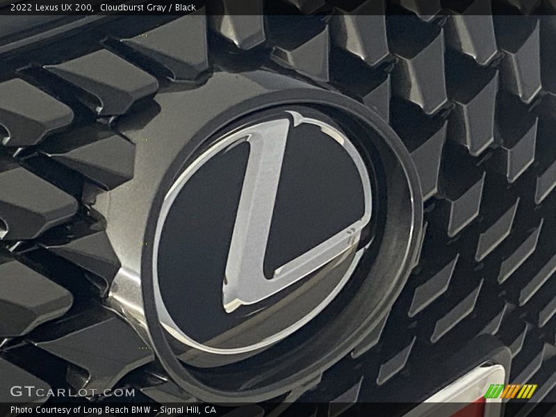Cloudburst Gray / Black 2022 Lexus UX 200