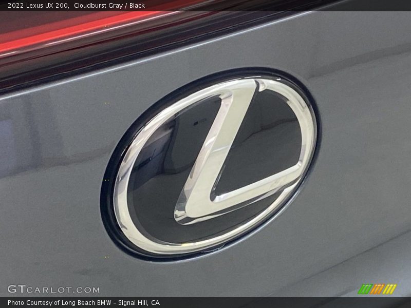 Cloudburst Gray / Black 2022 Lexus UX 200