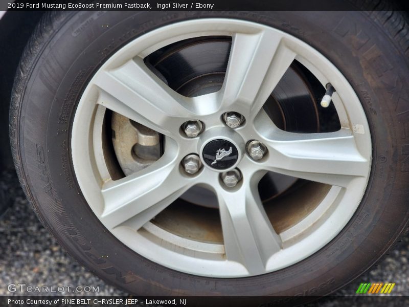 Ingot Silver / Ebony 2019 Ford Mustang EcoBoost Premium Fastback