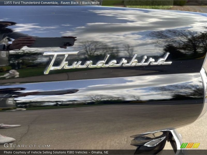  1955 Thunderbird Convertible Logo