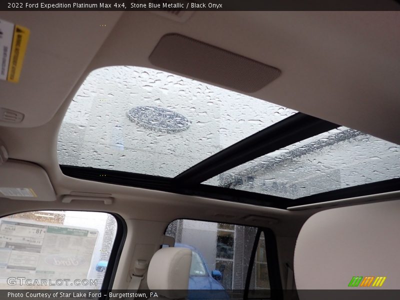 Stone Blue Metallic / Black Onyx 2022 Ford Expedition Platinum Max 4x4