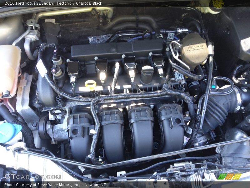 Tectonic / Charcoal Black 2016 Ford Focus SE Sedan