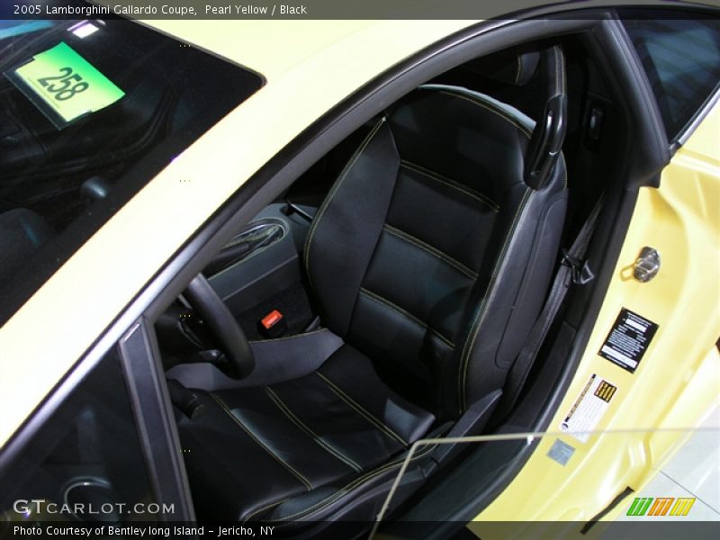 Pearl Yellow / Black 2005 Lamborghini Gallardo Coupe