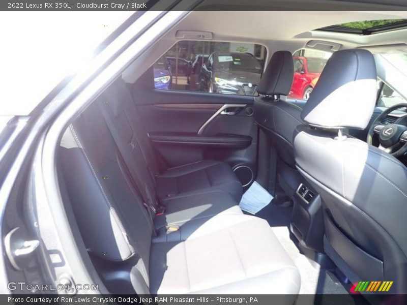 Cloudburst Gray / Black 2022 Lexus RX 350L