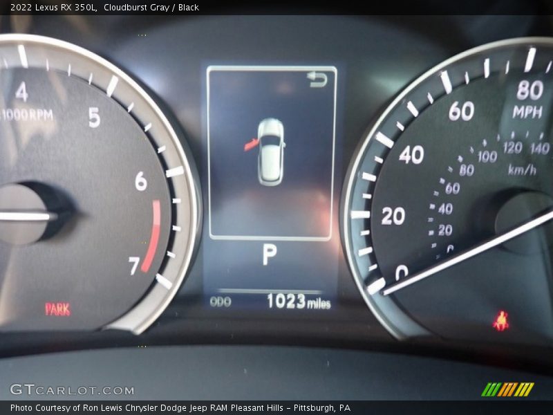 Cloudburst Gray / Black 2022 Lexus RX 350L