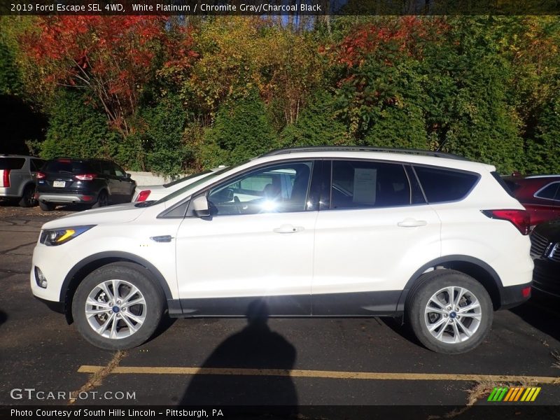 White Platinum / Chromite Gray/Charcoal Black 2019 Ford Escape SEL 4WD