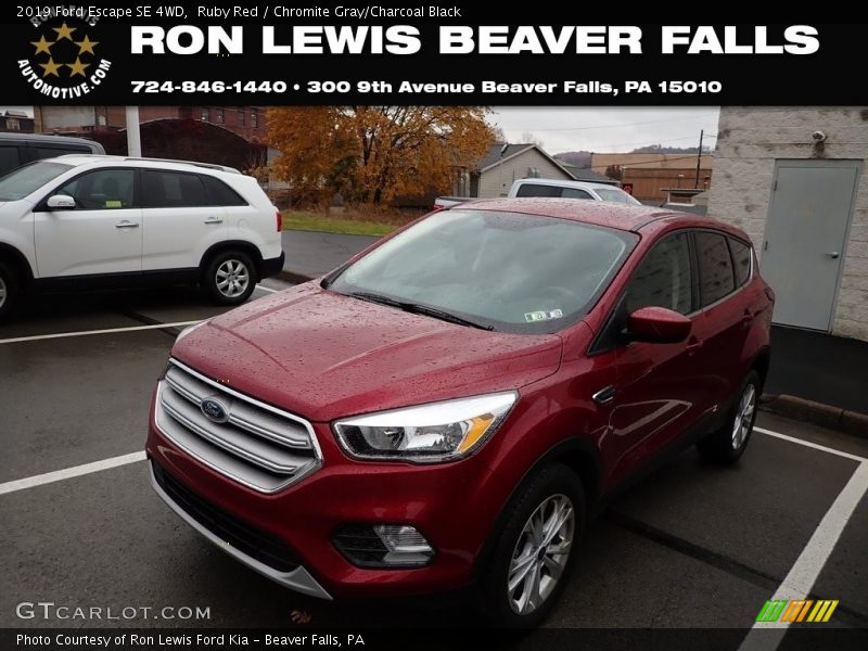 Ruby Red / Chromite Gray/Charcoal Black 2019 Ford Escape SE 4WD
