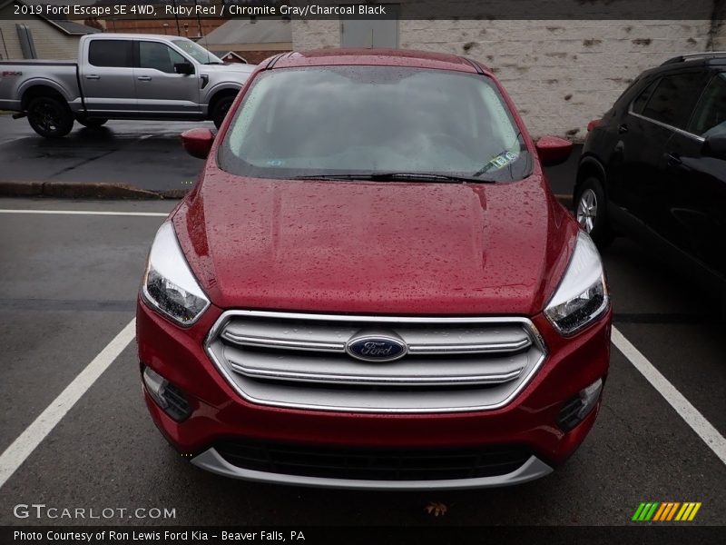 Ruby Red / Chromite Gray/Charcoal Black 2019 Ford Escape SE 4WD